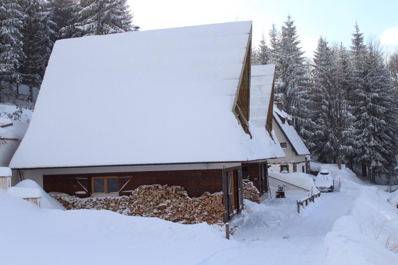 Holiday Home Elena Копаоник Екстериор снимка