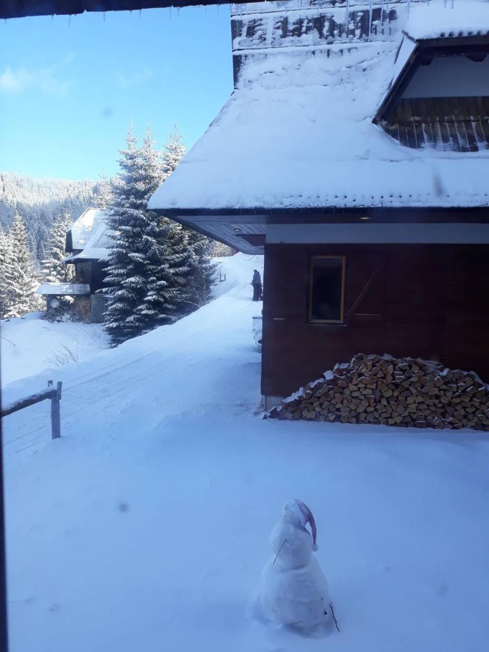 Holiday Home Elena Копаоник Екстериор снимка